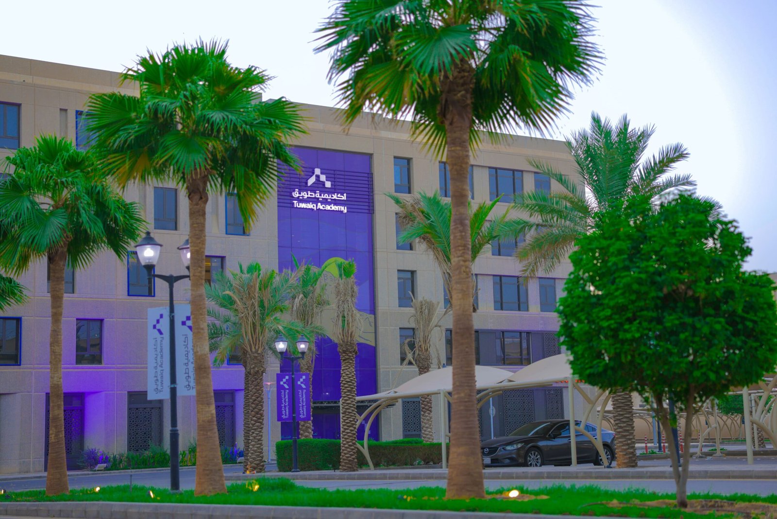 برامج تدريبية مجانية